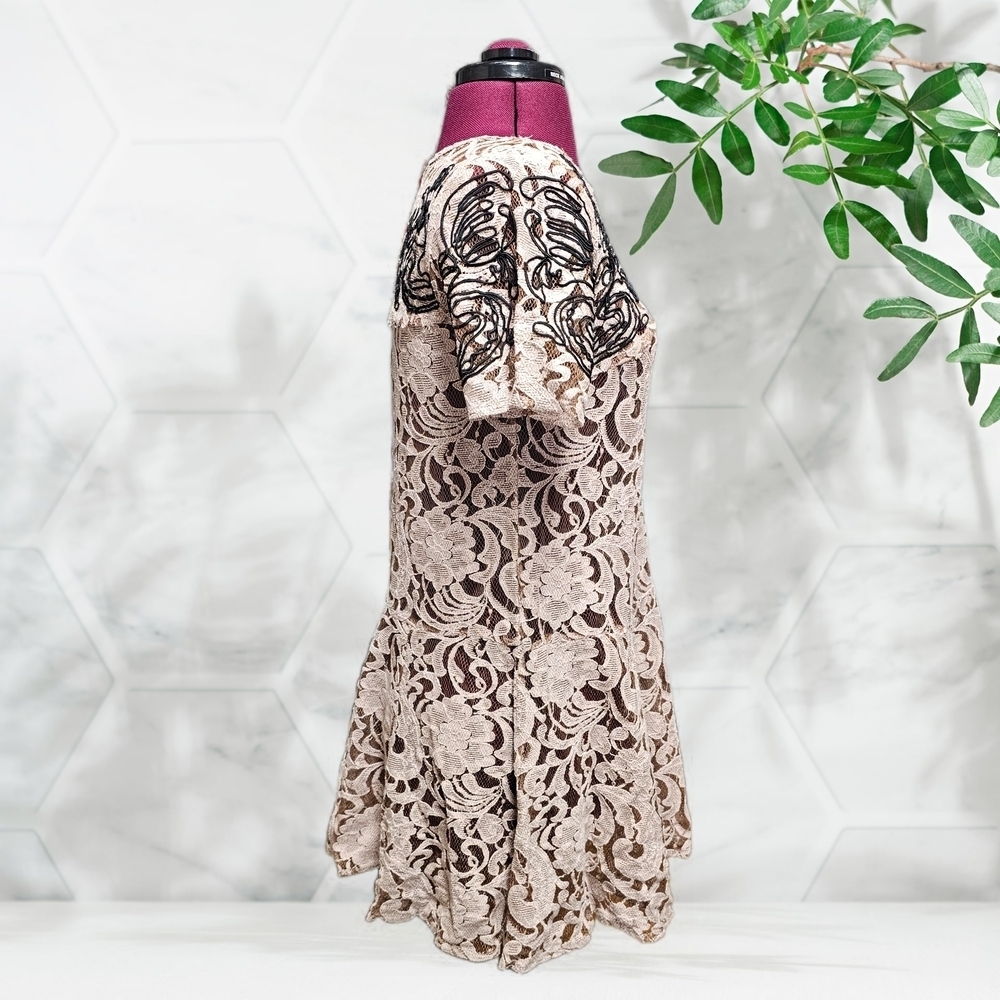 Free People Pink Beautiful Dreamer Blush Lace Tunic Dress - Picture 6 of 13